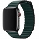 Ремешок кожаный Devia eather Magnet Band для Apple Watch 42mm\44mm (зеленый)