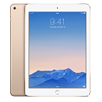 Apple iPad Air 2 Wi-Fi 16 Gb Gold MH0W2RU/A