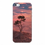 Чехол для Apple iPhone 5/5S Deppa Nature дерево
