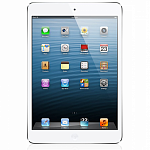 Apple iPad mini Wi-Fi + 3G 16 Gb Silver MD543RS/A