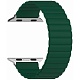 Силиконовый ремешок Lyambda ACRUX для Apple Watch 42mm\44mm\45mm (зеленый)