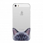 Силиконовый чехол Olle для iPhone 5/5S/SE (Котенок)