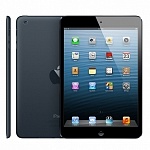 Apple iPad mini 32Gb Wi-Fi (Black)