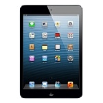 Apple iPad mini 16Gb Wi-Fi Black MD528RS\A